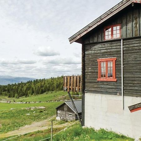 Ferienwohnung Sulseter Fjellstugu Vinstra Exterior foto
